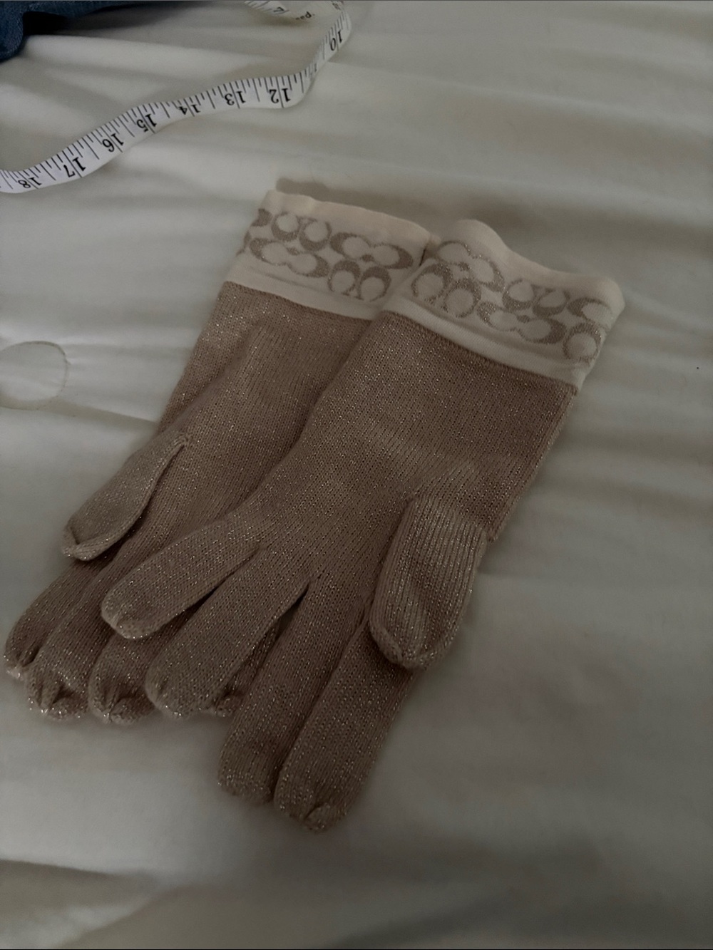 Coach Sparkle Knit Gloves with Signature C Trim - Beige/Cream